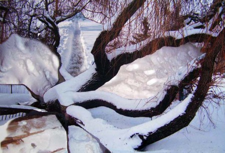 Snežná cesta 21x29 cm